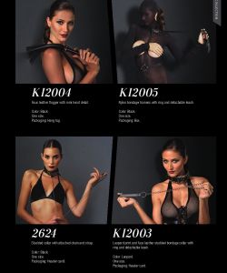 Leg Avenue - 2016 Lingerie Collection