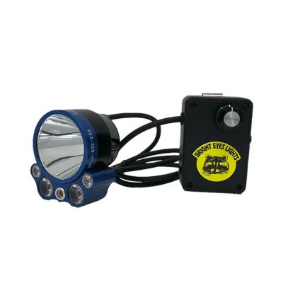 Bright Eyes Fuzion Micro Belt Light