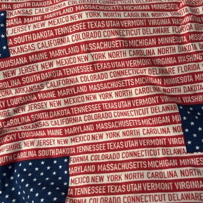 LulaRoe Patriotic Red/White/Blue States And Stars Leggings  TC