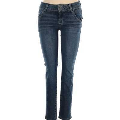 Hudson Jeans Women Blue Jeggings 25W