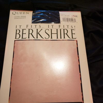 Pantyhose Stockings Tights ECT.  Berkshire Ultra Sheer