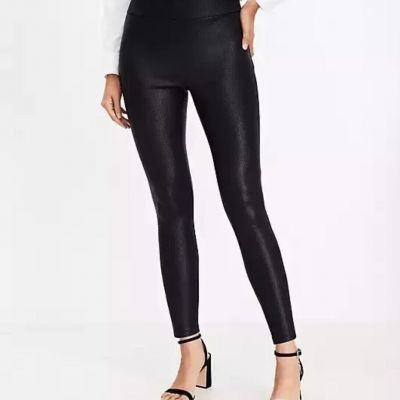 Loft Snake Print Ponte Leggings in M Tall