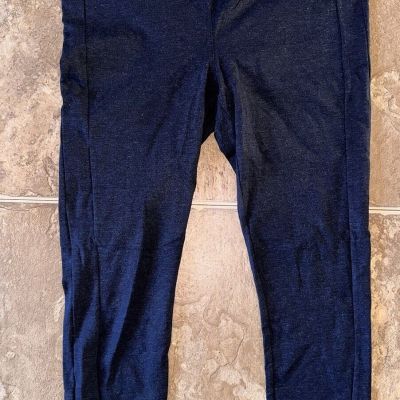 Ann Taylor LOFT Womens X-Large XL Heather Blue Leggings