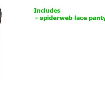 Spiderweb Lace Pantyhose Adult Womens Halloween Hosiery