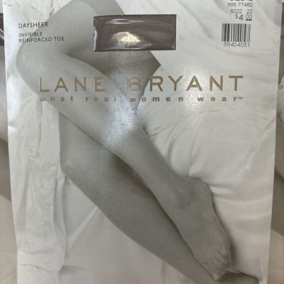 LANE BRYANT DAYSHEER CONTROL TOP REINFORCED TOE PANYHOSE – Size E, Tan